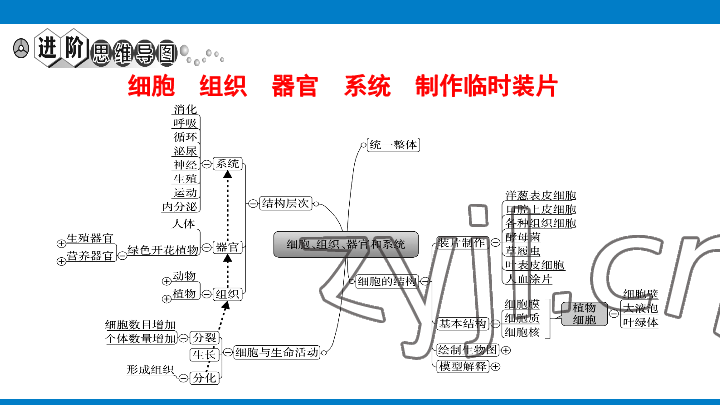 2023年學(xué)習(xí)進(jìn)階中考科學(xué)復(fù)習(xí)設(shè)計(jì)中考浙教版 參考答案第26頁(yè)