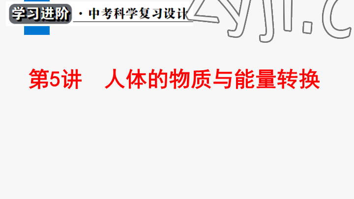 2023年學(xué)習(xí)進階中考科學(xué)復(fù)習(xí)設(shè)計中考浙教版 參考答案第112頁