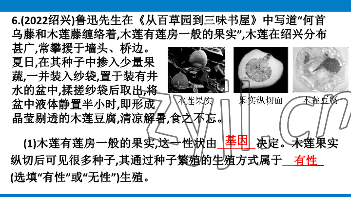 2023年學習進階中考科學復習設(shè)計中考浙教版 參考答案第212頁