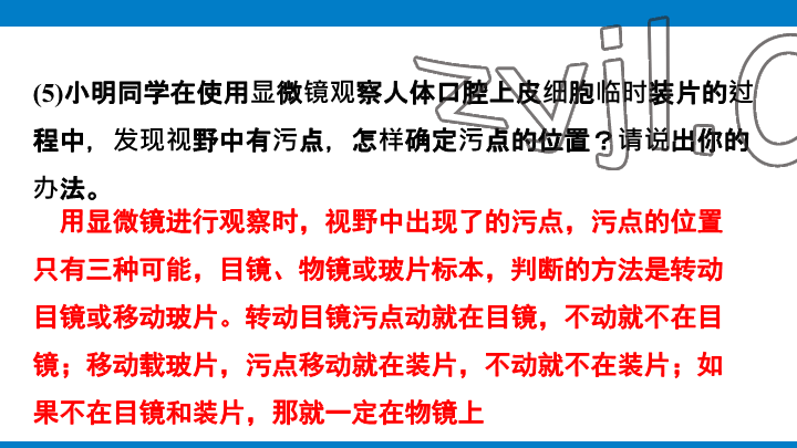 2023年學(xué)習(xí)進(jìn)階中考科學(xué)復(fù)習(xí)設(shè)計(jì)中考浙教版 參考答案第19頁
