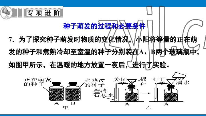 2023年學(xué)習(xí)進(jìn)階中考科學(xué)復(fù)習(xí)設(shè)計中考浙教版 參考答案第188頁