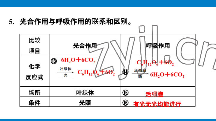 2023年學(xué)習(xí)進(jìn)階中考科學(xué)復(fù)習(xí)設(shè)計(jì)中考浙教版 參考答案第87頁(yè)