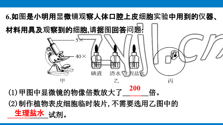 2023年學(xué)習(xí)進(jìn)階中考科學(xué)復(fù)習(xí)設(shè)計(jì)中考浙教版 參考答案第17頁(yè)