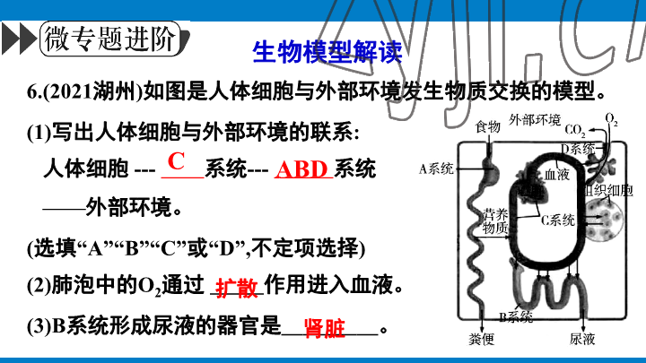 2023年學(xué)習(xí)進(jìn)階中考科學(xué)復(fù)習(xí)設(shè)計(jì)中考浙教版 參考答案第132頁