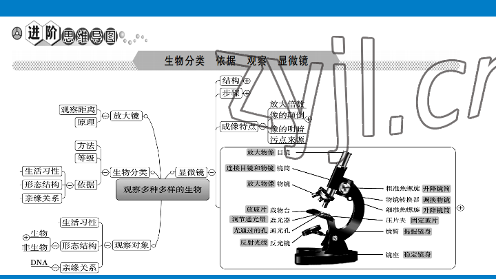 2023年學習進階中考科學復習設計中考浙教版 參考答案第2頁