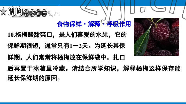 2023年學(xué)習(xí)進(jìn)階中考科學(xué)復(fù)習(xí)設(shè)計(jì)中考浙教版 參考答案第109頁(yè)