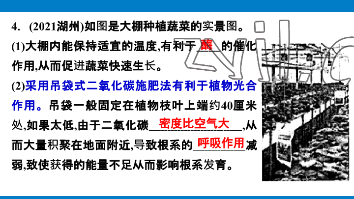 2023年學(xué)習(xí)進(jìn)階中考科學(xué)復(fù)習(xí)設(shè)計(jì)中考浙教版 參考答案第93頁