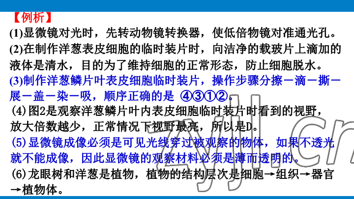 2023年學(xué)習(xí)進(jìn)階中考科學(xué)復(fù)習(xí)設(shè)計(jì)中考浙教版 參考答案第40頁