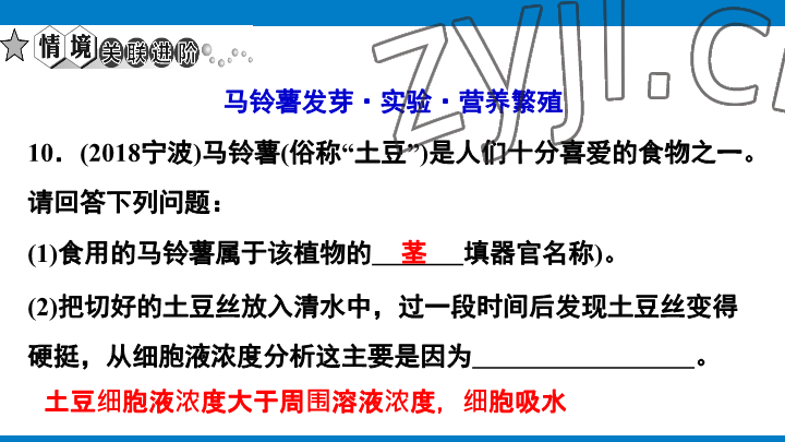 2023年學(xué)習(xí)進(jìn)階中考科學(xué)復(fù)習(xí)設(shè)計中考浙教版 參考答案第192頁