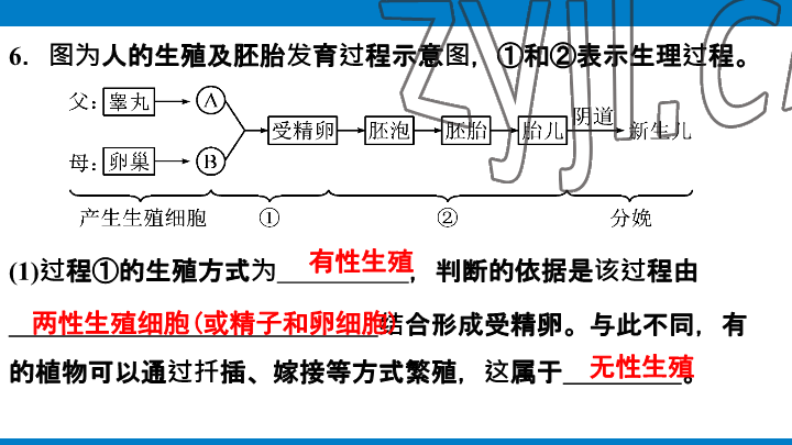 2023年學(xué)習(xí)進階中考科學(xué)復(fù)習(xí)設(shè)計中考浙教版 參考答案第176頁