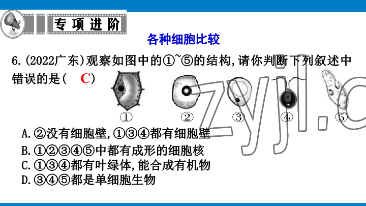 2023年學(xué)習(xí)進階中考科學(xué)復(fù)習(xí)設(shè)計中考浙教版 參考答案第45頁