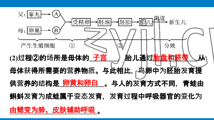 2023年學習進階中考科學復習設計中考浙教版 參考答案第177頁