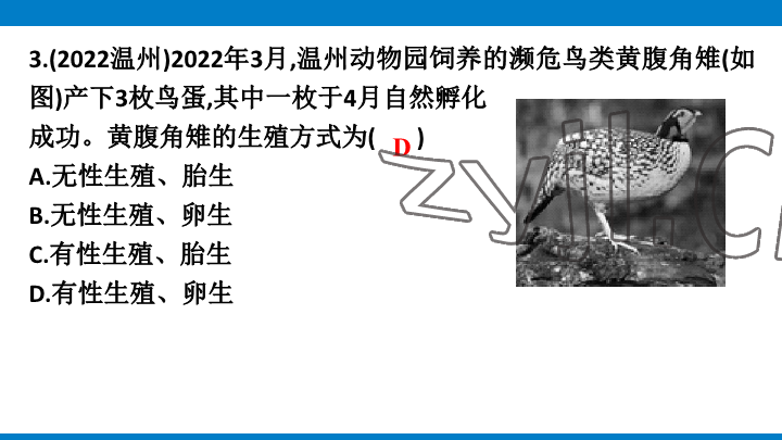 2023年學(xué)習(xí)進(jìn)階中考科學(xué)復(fù)習(xí)設(shè)計中考浙教版 參考答案第173頁