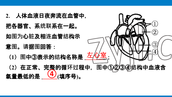 2023年學(xué)習(xí)進階中考科學(xué)復(fù)習(xí)設(shè)計中考浙教版 參考答案第120頁