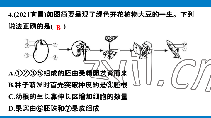2023年學(xué)習(xí)進階中考科學(xué)復(fù)習(xí)設(shè)計中考浙教版 參考答案第174頁