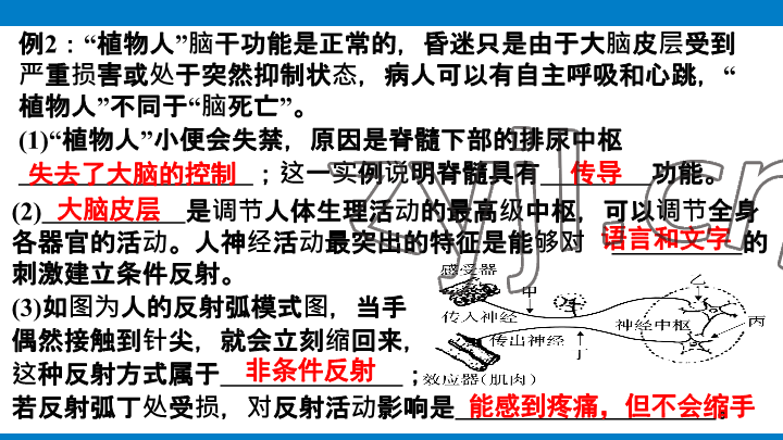 2023年學(xué)習(xí)進(jìn)階中考科學(xué)復(fù)習(xí)設(shè)計(jì)中考浙教版 參考答案第153頁(yè)