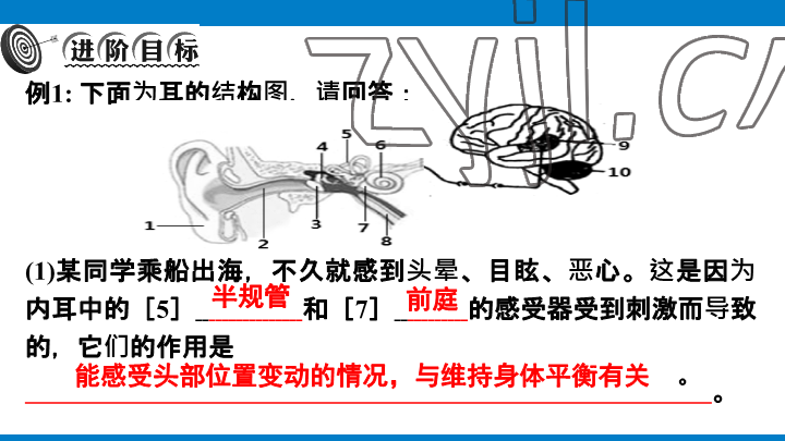 2023年學(xué)習(xí)進階中考科學(xué)復(fù)習(xí)設(shè)計中考浙教版 參考答案第149頁