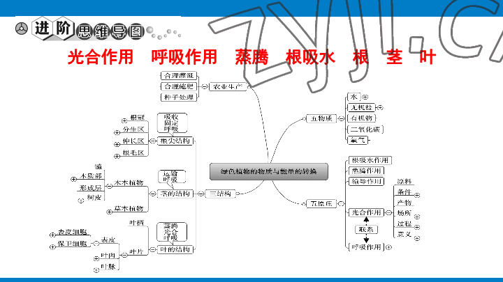 2023年學習進階中考科學復習設計中考浙教版 參考答案第83頁