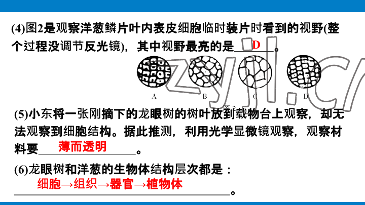 2023年學(xué)習(xí)進階中考科學(xué)復(fù)習(xí)設(shè)計中考浙教版 參考答案第39頁