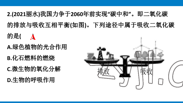 2023年學(xué)習(xí)進階中考科學(xué)復(fù)習(xí)設(shè)計中考浙教版 參考答案第91頁