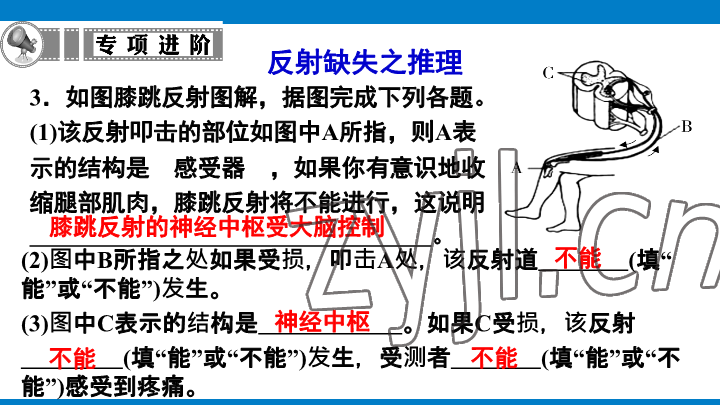 2023年學(xué)習(xí)進(jìn)階中考科學(xué)復(fù)習(xí)設(shè)計(jì)中考浙教版 參考答案第158頁