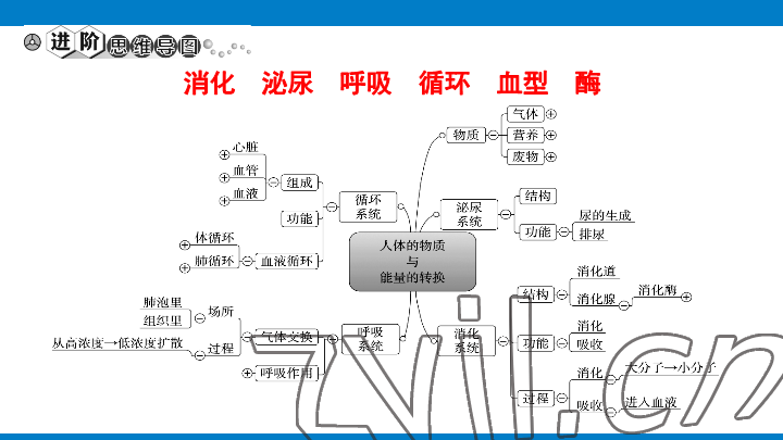 2023年學(xué)習(xí)進(jìn)階中考科學(xué)復(fù)習(xí)設(shè)計(jì)中考浙教版 參考答案第113頁(yè)