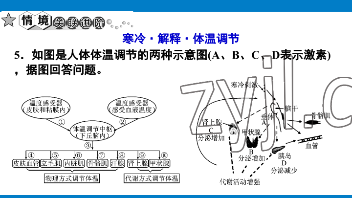 2023年學(xué)習(xí)進(jìn)階中考科學(xué)復(fù)習(xí)設(shè)計(jì)中考浙教版 參考答案第160頁