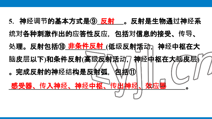 2023年學習進階中考科學復習設計中考浙教版 參考答案第140頁