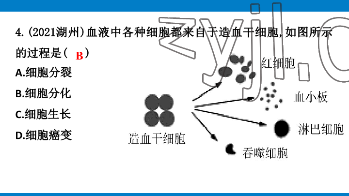 2023年學(xué)習(xí)進階中考科學(xué)復(fù)習(xí)設(shè)計中考浙教版 參考答案第36頁