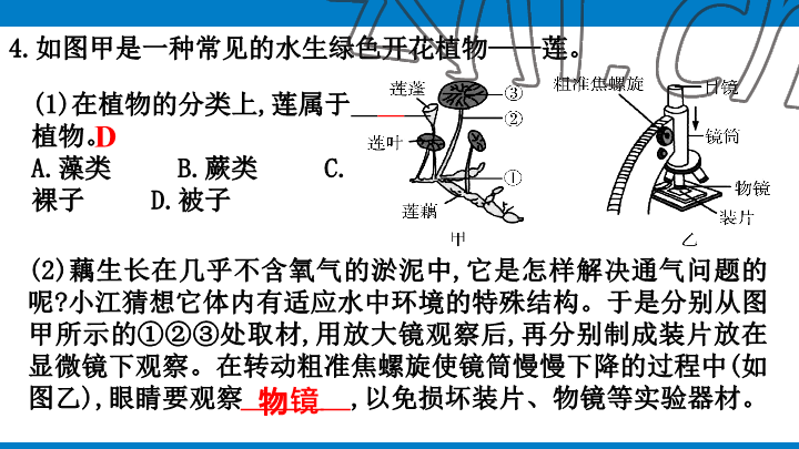 2023年學習進階中考科學復習設(shè)計中考浙教版 參考答案第9頁