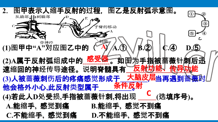 2023年學(xué)習(xí)進(jìn)階中考科學(xué)復(fù)習(xí)設(shè)計(jì)中考浙教版 參考答案第148頁