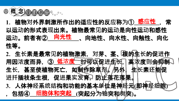 2023年學習進階中考科學復習設計中考浙教版 參考答案第138頁