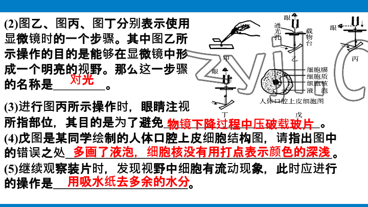 2023年學(xué)習(xí)進(jìn)階中考科學(xué)復(fù)習(xí)設(shè)計中考浙教版 參考答案第49頁