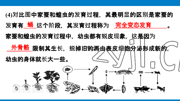 2023年學習進階中考科學復習設計中考浙教版 參考答案第181頁
