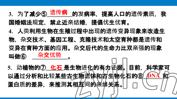 2023年學習進階中考科學復習設計中考浙教版 參考答案第198頁