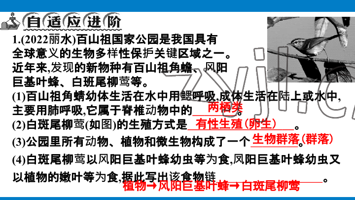 2023年學(xué)習(xí)進(jìn)階中考科學(xué)復(fù)習(xí)設(shè)計中考浙教版 參考答案第61頁