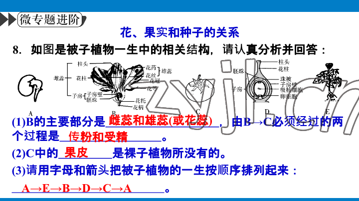 2023年學(xué)習(xí)進(jìn)階中考科學(xué)復(fù)習(xí)設(shè)計(jì)中考浙教版 參考答案第190頁(yè)