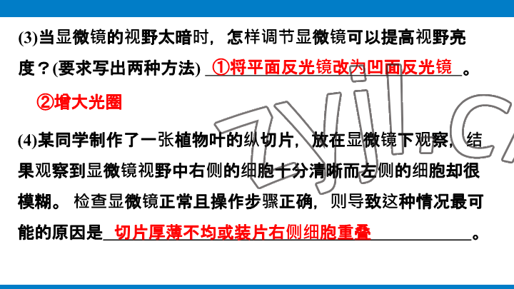 2023年學習進階中考科學復習設(shè)計中考浙教版 參考答案第11頁