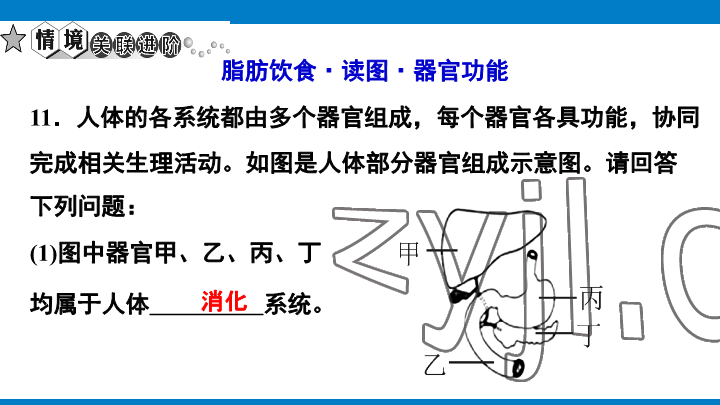 2023年學(xué)習(xí)進(jìn)階中考科學(xué)復(fù)習(xí)設(shè)計(jì)中考浙教版 參考答案第52頁(yè)