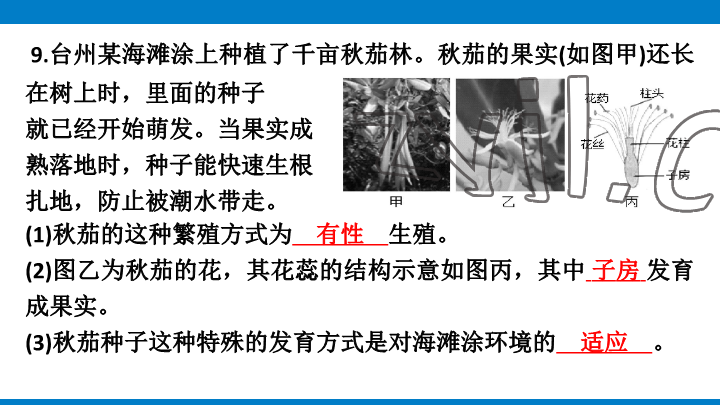 2023年學(xué)習(xí)進(jìn)階中考科學(xué)復(fù)習(xí)設(shè)計(jì)中考浙教版 參考答案第191頁