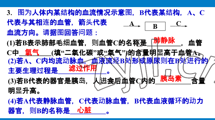 2023年學習進階中考科學復習設計中考浙教版 參考答案第121頁