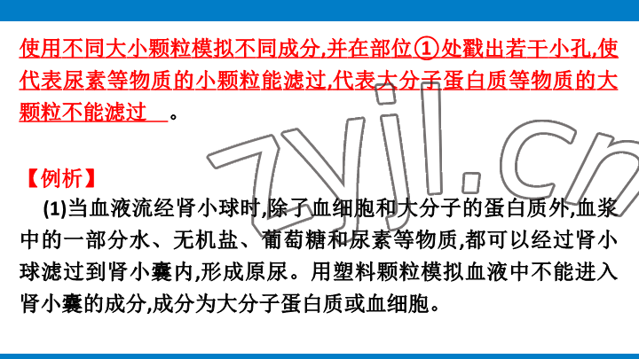 2023年學習進階中考科學復習設計中考浙教版 參考答案第124頁