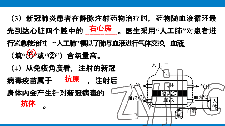 2023年學(xué)習(xí)進(jìn)階中考科學(xué)復(fù)習(xí)設(shè)計(jì)中考浙教版 參考答案第243頁