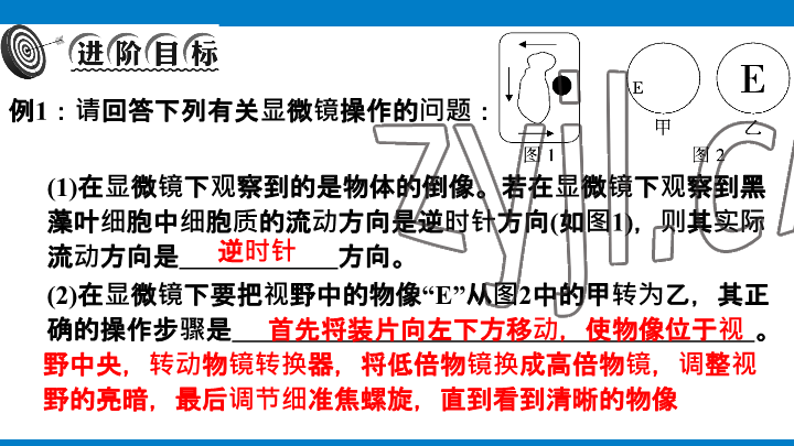 2023年學(xué)習(xí)進(jìn)階中考科學(xué)復(fù)習(xí)設(shè)計中考浙教版 參考答案第10頁