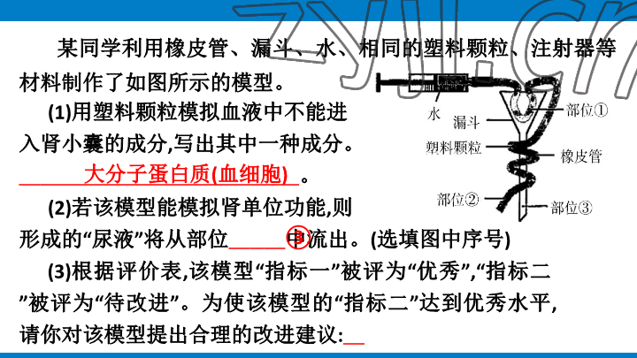 2023年學(xué)習(xí)進(jìn)階中考科學(xué)復(fù)習(xí)設(shè)計(jì)中考浙教版 參考答案第123頁(yè)