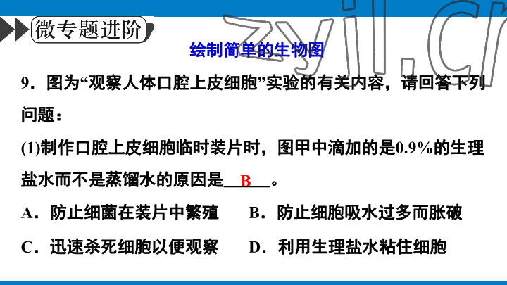 2023年學(xué)習(xí)進(jìn)階中考科學(xué)復(fù)習(xí)設(shè)計中考浙教版 參考答案第48頁