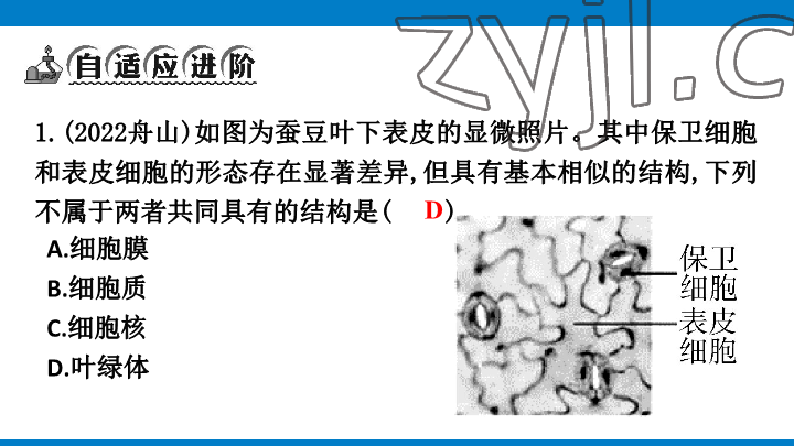 2023年學(xué)習(xí)進(jìn)階中考科學(xué)復(fù)習(xí)設(shè)計(jì)中考浙教版 參考答案第33頁(yè)