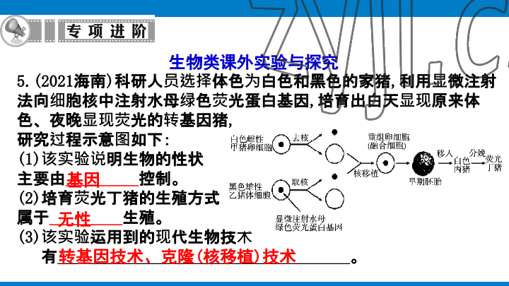 2023年學習進階中考科學復習設計中考浙教版 參考答案第211頁