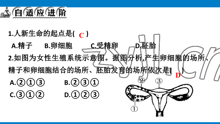 2023年學(xué)習(xí)進(jìn)階中考科學(xué)復(fù)習(xí)設(shè)計(jì)中考浙教版 參考答案第172頁