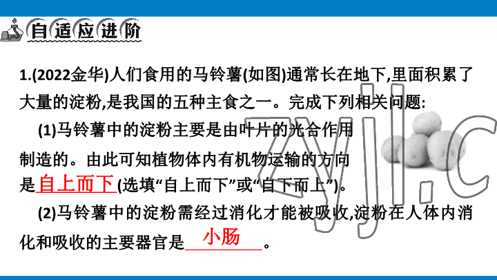 2023年學(xué)習(xí)進(jìn)階中考科學(xué)復(fù)習(xí)設(shè)計中考浙教版 參考答案第90頁